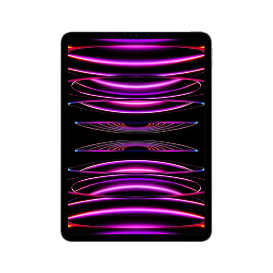 2022 iPad Pro de 11 pulgadas Wi-Fi 1 TB - Gris espacial (4.ª generación)