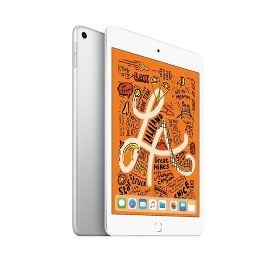 IPAD MINI WI-FI 64GB SPACE GRAY-LAE