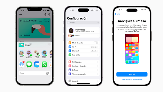 iPhone muestra diferentes aplicaciones, entre ellas WhatsApp para mensajear, borrar contactos, entre otros