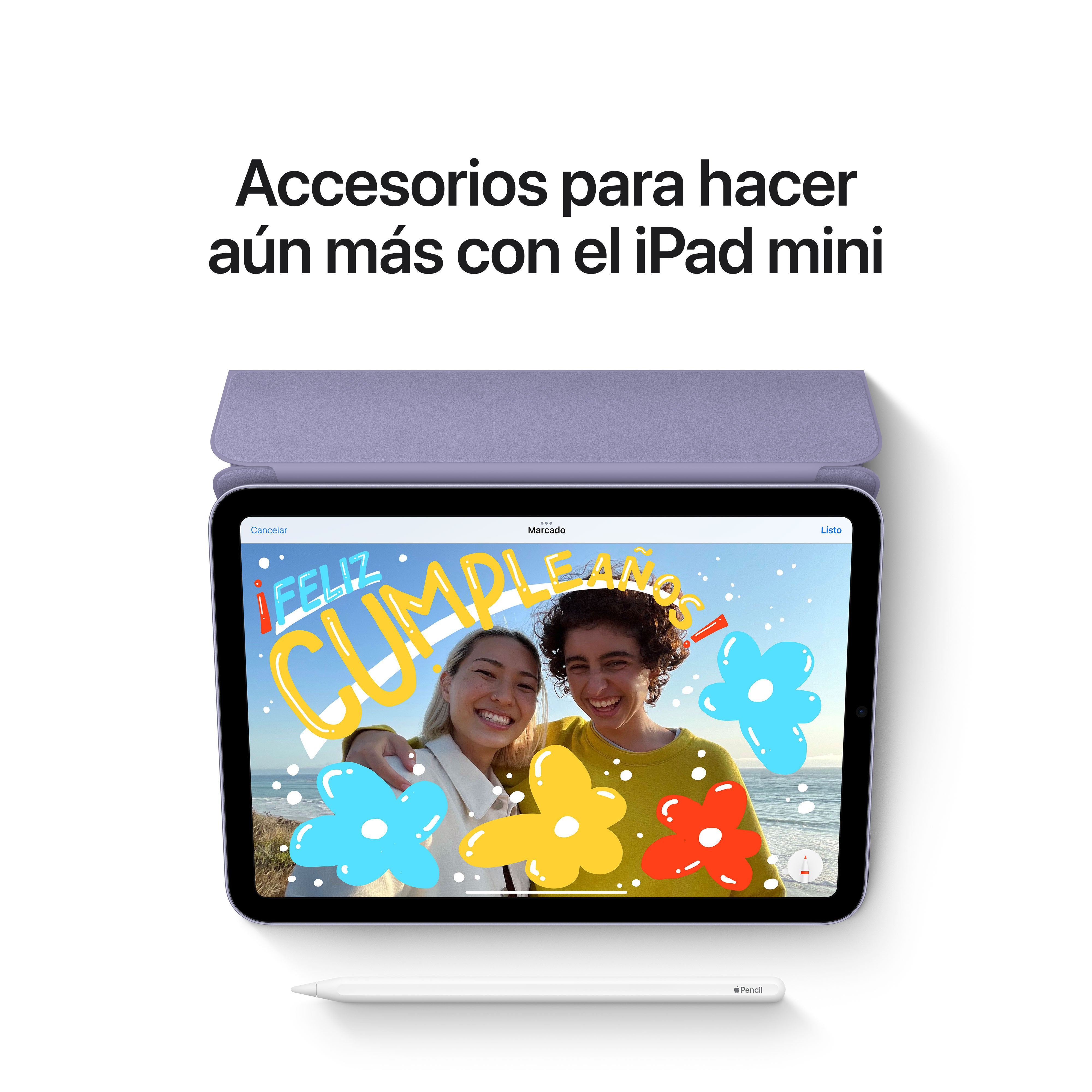 iPad Mini 8,3