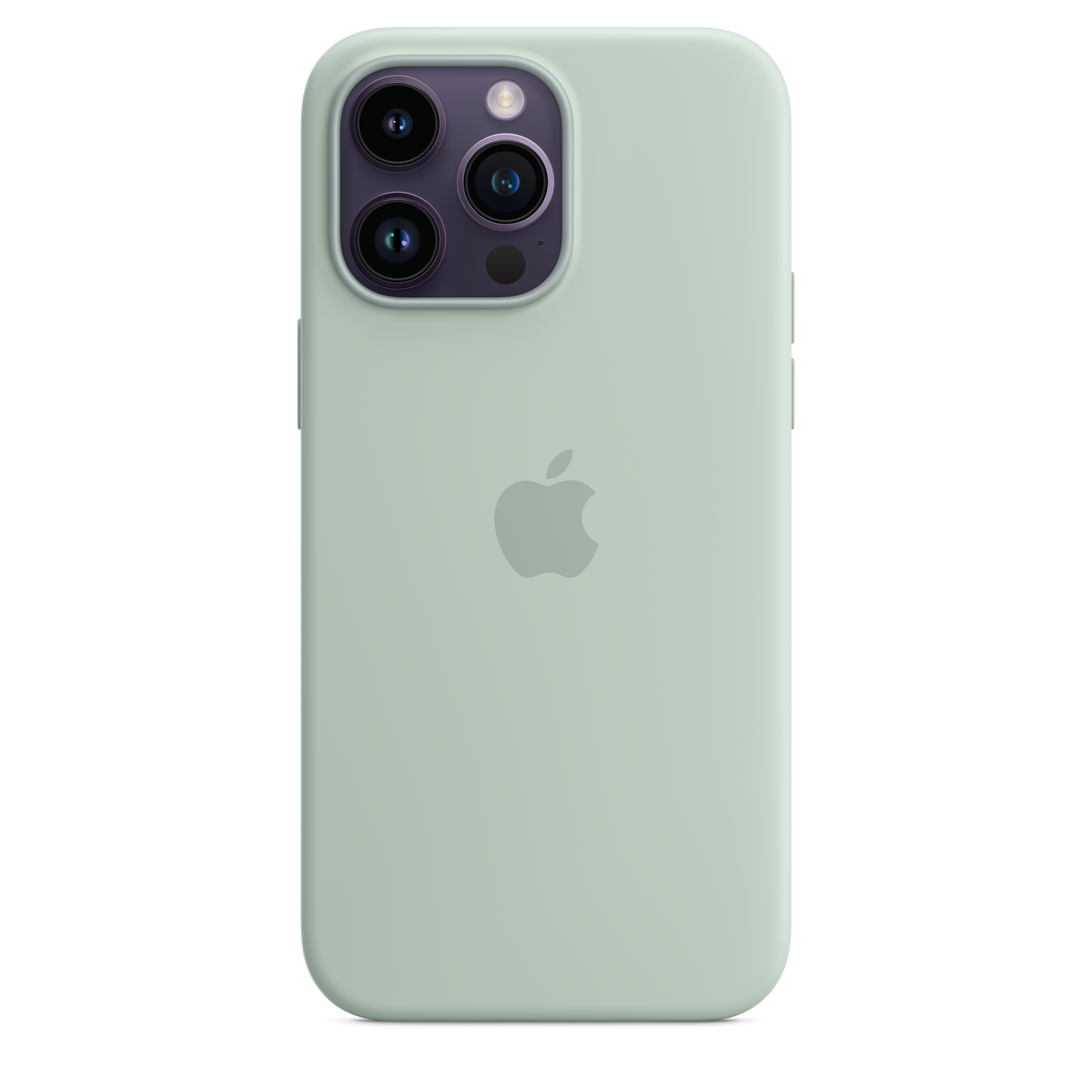 Funda de silicona con MagSafe para el iPhone 14 Pro Max - Suculenta