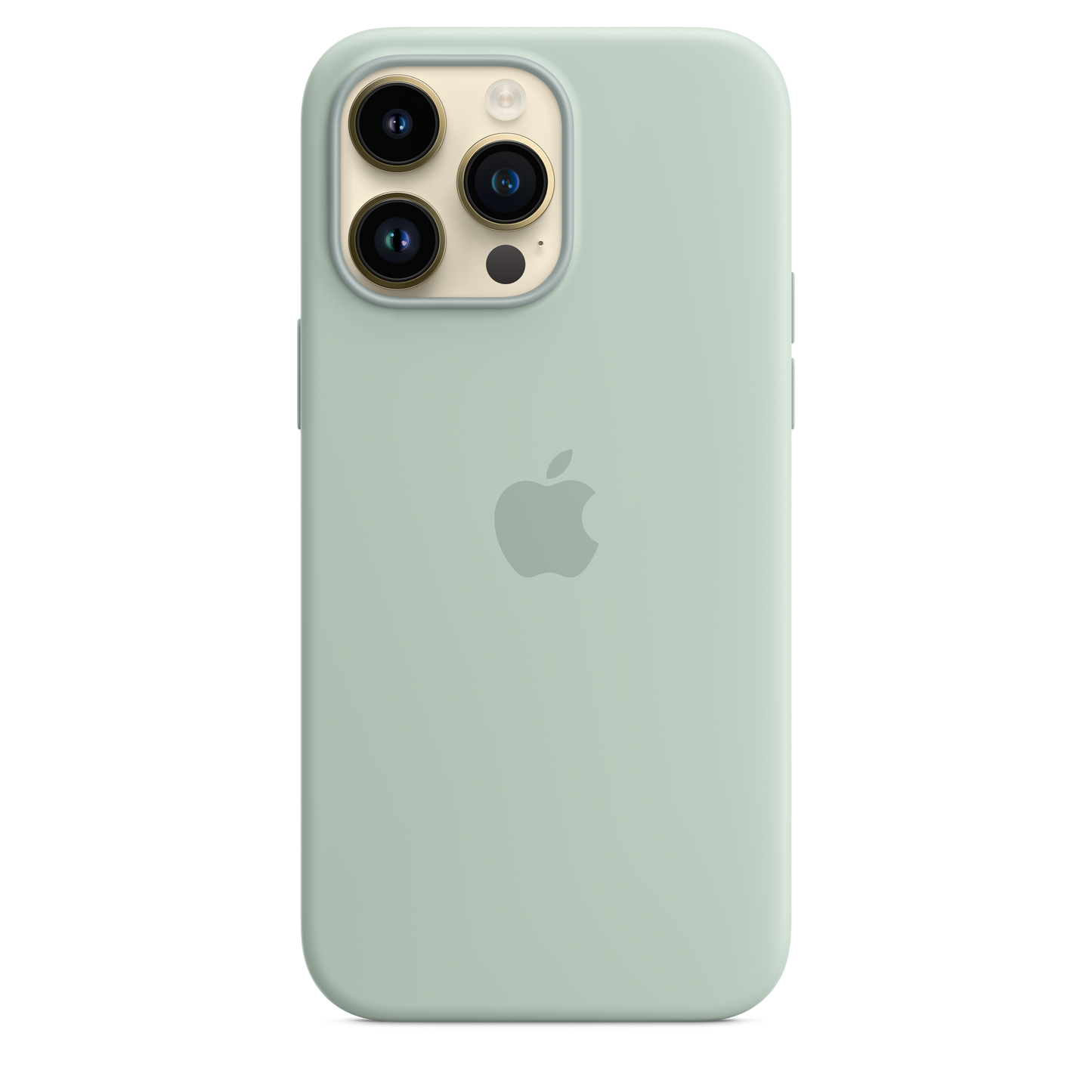 Funda de silicona con MagSafe para el iPhone 14 Pro Max - Suculenta