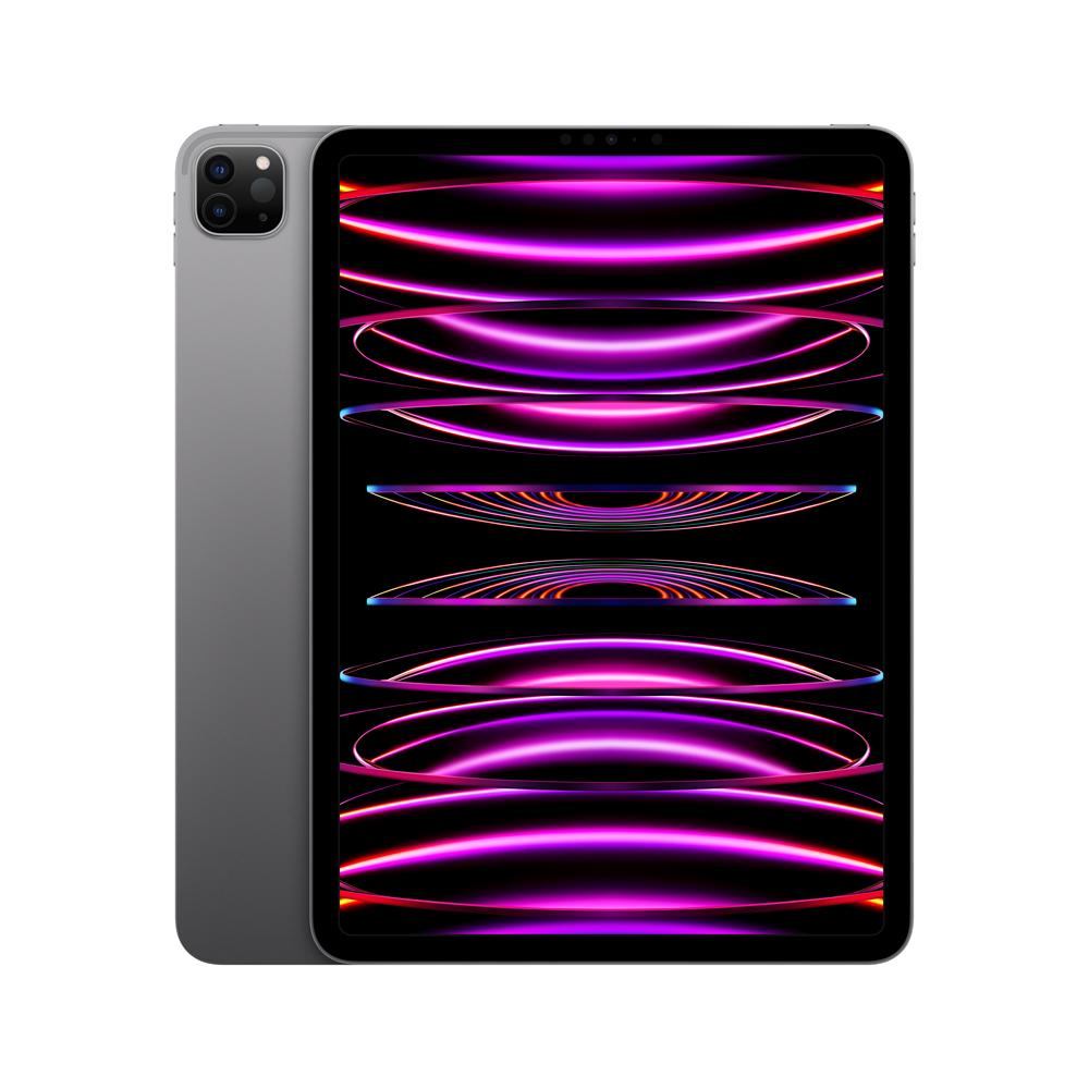2022 iPad Pro de 11 pulgadas Wi-Fi 256 GB - Gris espacial (4.ª generación)