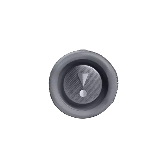 Parlante JBL Flip 6 Bluetooth - Gris