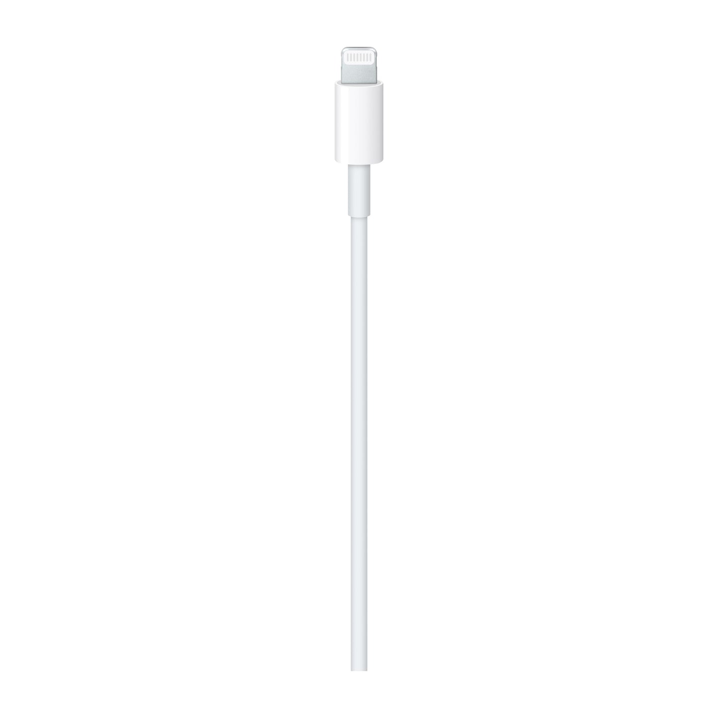 USB-C TO LIGHTNING CABLE (1 M)-AME