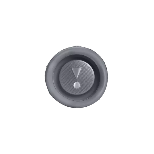 Parlante JBL Flip 6 Bluetooth - Gris