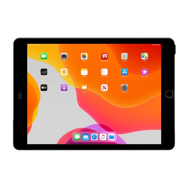 Protector de Pantalla Privacy BELKIN Para iPad 10.2 - Removible