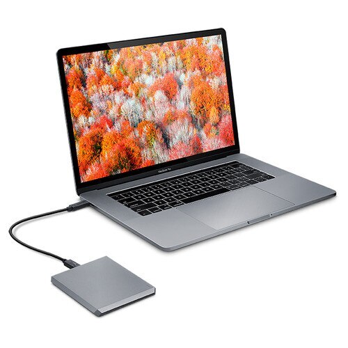 LaCie 2TB USB 3.1 Type-C Mobile Drive (Gris espacial)